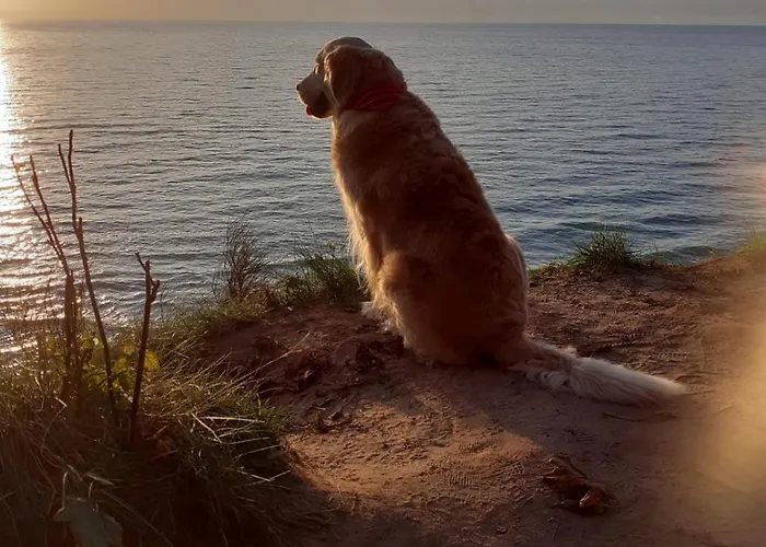 Lesny Klif Z Tarasem Appartement